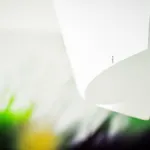 Oliver Lux 蒂豪尼