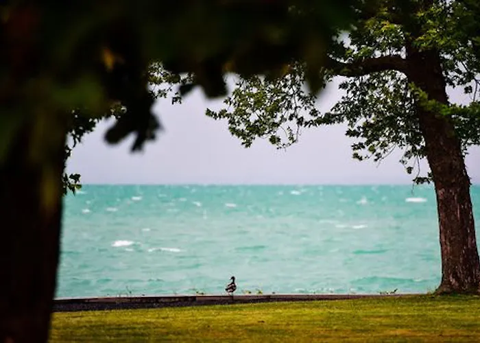 Appart hôtel Oliverlux 4*